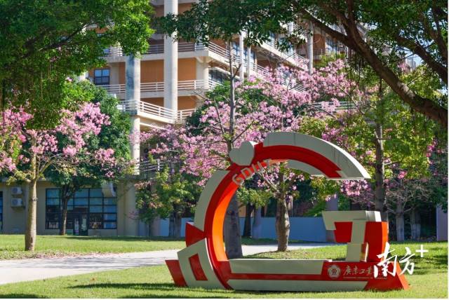 MK平台校园图景。受访者供图