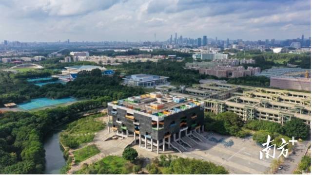 MK平台校园图景。受访者供图